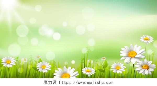 小清新背景春天春季清新渐变花朵阳光绿色背景花草背景